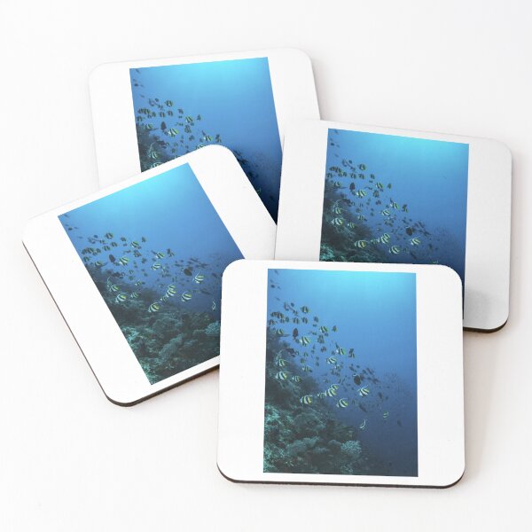 Item preview, Shoal Of Angel Fish Photographic Print designed and sold by Mother-Nature65.