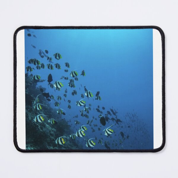 Item preview, Shoal Of Angel Fish Photographic Print designed and sold by Mother-Nature65.
