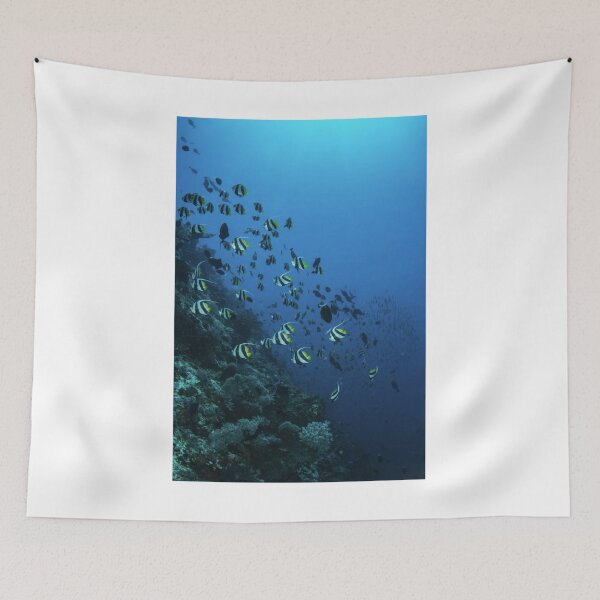 Item preview, Shoal Of Angel Fish Photographic Print designed and sold by Mother-Nature65.