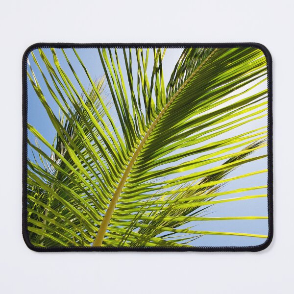 Item preview, Palm leaf on sunny day designed and sold by katifinell.