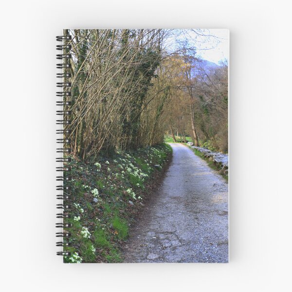 Item preview, The Fus Valley designed and sold by annalisa56.