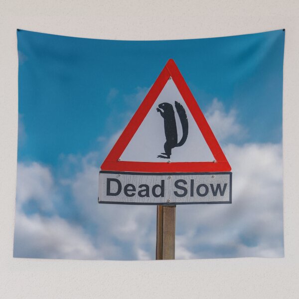 Item preview, Dead slow sign caution to squirrels designed and sold by Photopat.