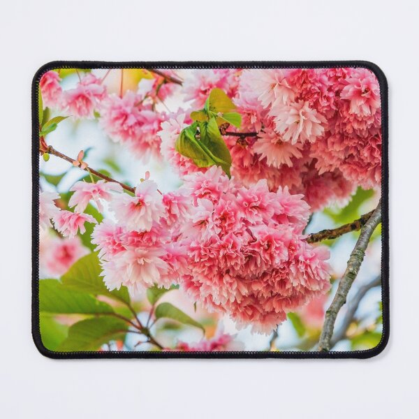 Item preview, Cherry blossom designed and sold by Photopat.