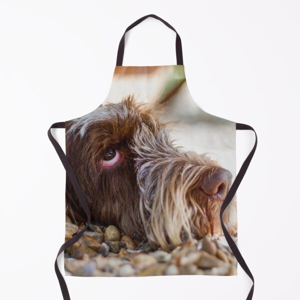 Item preview, Looking Up Cute Spinone Portrait by heidiannemorris © designed and sold by FOLK ART FUSION by heidiannemorris.