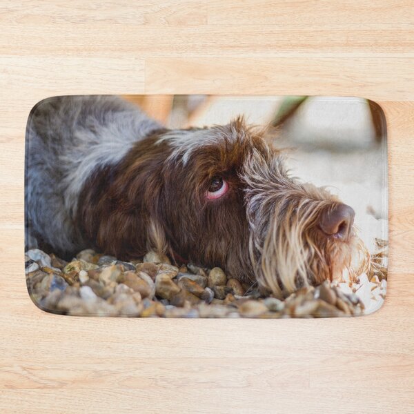 Item preview, Looking Up Cute Spinone Portrait by heidiannemorris © designed and sold by FOLK ART FUSION by heidiannemorris.