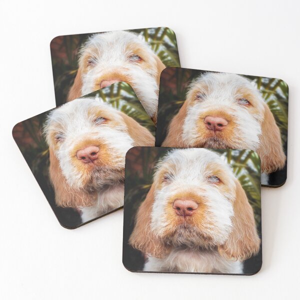 Item preview, Irresistible Italian Spinone Puppy by heidiannemorris designed and sold by FOLK ART FUSION by heidiannemorris.