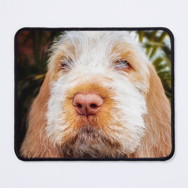 Item preview, Irresistible Italian Spinone Puppy by heidiannemorris designed and sold by FOLK ART FUSION by heidiannemorris.