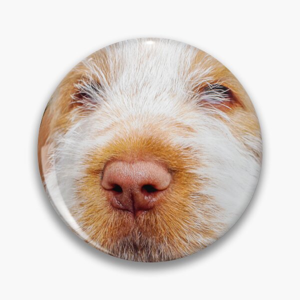 Item preview, Irresistible Italian Spinone Puppy by heidiannemorris designed and sold by FOLK ART FUSION by heidiannemorris.