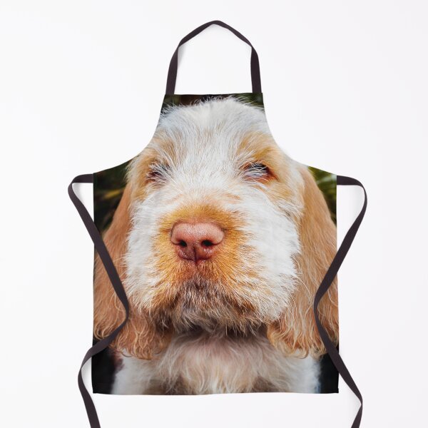Item preview, Irresistible Italian Spinone Puppy by heidiannemorris designed and sold by FOLK ART FUSION by heidiannemorris.