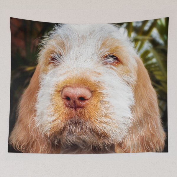 Item preview, Irresistible Italian Spinone Puppy by heidiannemorris designed and sold by FOLK ART FUSION by heidiannemorris.