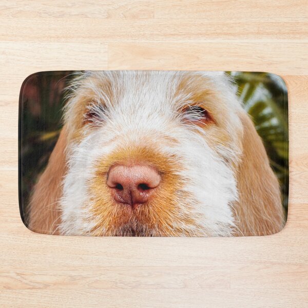 Item preview, Irresistible Italian Spinone Puppy by heidiannemorris designed and sold by FOLK ART FUSION by heidiannemorris.