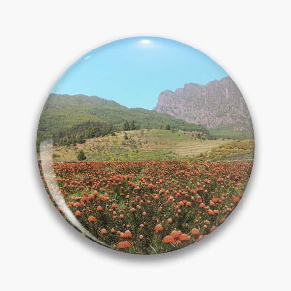 Item preview, Protea field La Palma designed and sold by birgitsfotoshop.
