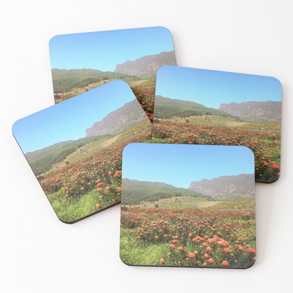 Item preview, Protea field La Palma designed and sold by birgitsfotoshop.
