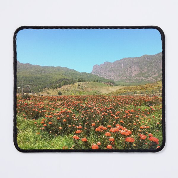 Item preview, Protea field La Palma designed and sold by birgitsfotoshop.