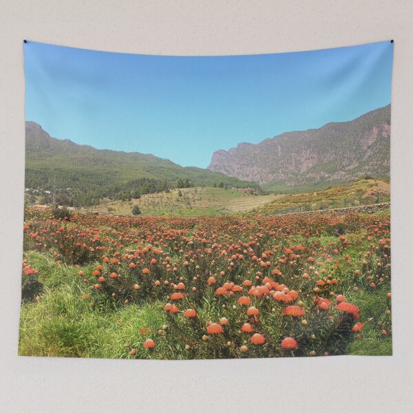 Item preview, Protea field La Palma designed and sold by birgitsfotoshop.