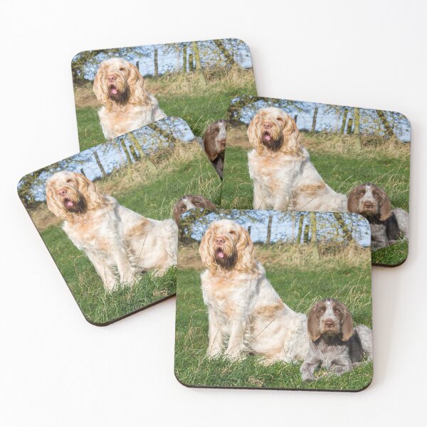Item preview, Sunny afternoon Spinoni by heidiannemorris designed and sold by FOLK ART FUSION by heidiannemorris.