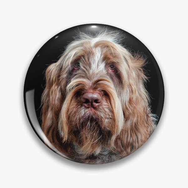 Item preview, Hypnotist Spinone by heidiannemorris designed and sold by FOLK ART FUSION by heidiannemorris.