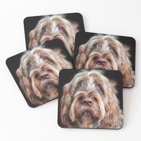 Item preview, Hypnotist Spinone by heidiannemorris designed and sold by FOLK ART FUSION by heidiannemorris.