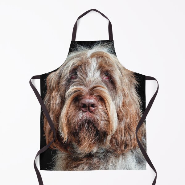 Item preview, Hypnotist Spinone by heidiannemorris designed and sold by FOLK ART FUSION by heidiannemorris.