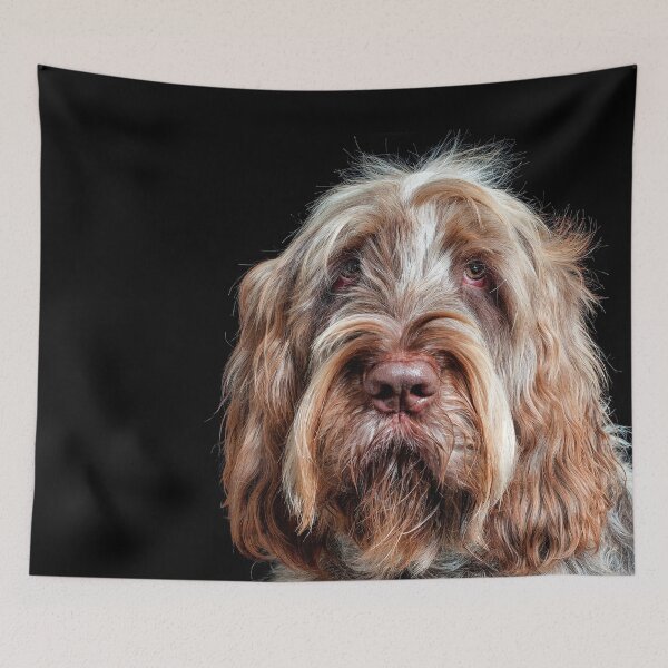 Item preview, Hypnotist Spinone by heidiannemorris designed and sold by FOLK ART FUSION by heidiannemorris.