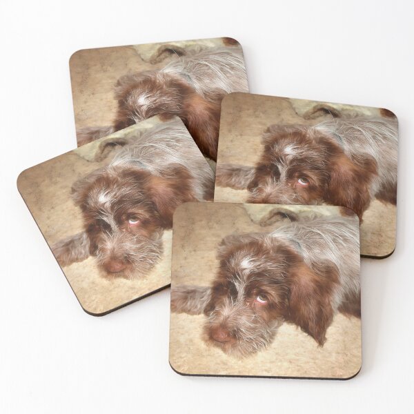 Item preview, Spinone puppy love by heidiannemorris © designed and sold by FOLK ART FUSION by heidiannemorris.