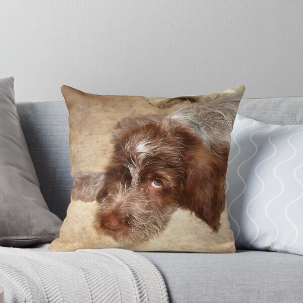 Item preview, Spinone puppy love by heidiannemorris © designed and sold by FOLK ART FUSION by heidiannemorris.