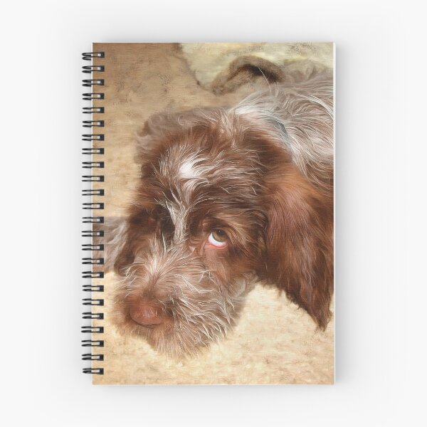 Item preview, Spinone puppy love by heidiannemorris © designed and sold by FOLK ART FUSION.