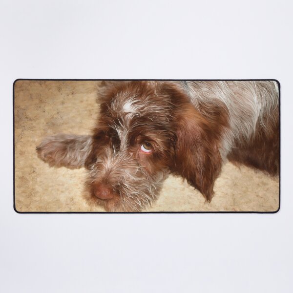 Item preview, Spinone puppy love by heidiannemorris © designed and sold by FOLK ART FUSION by heidiannemorris.