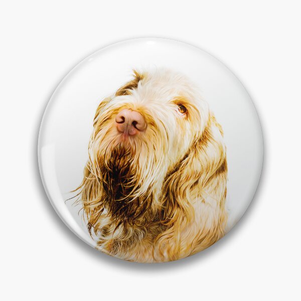 Item preview, Dreamy look Spinone by heidiannemorris designed and sold by FOLK ART FUSION by heidiannemorris.