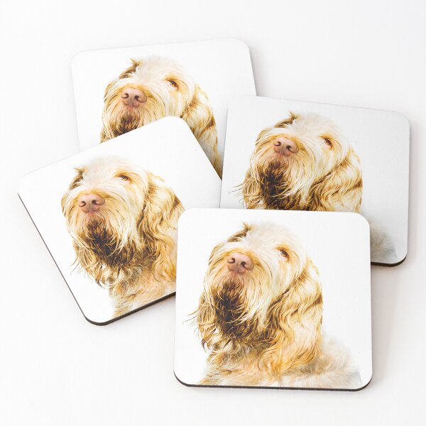 Item preview, Dreamy look Spinone by heidiannemorris designed and sold by FOLK ART FUSION by heidiannemorris.