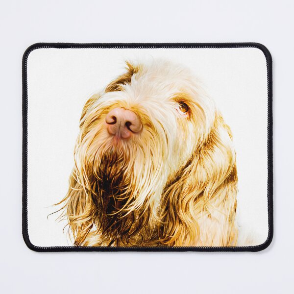 Item preview, Dreamy look Spinone by heidiannemorris designed and sold by FOLK ART FUSION by heidiannemorris.