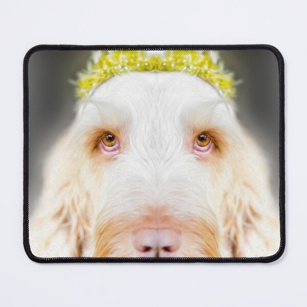 Item preview, Italian Spinone Festive Regal Gaze by heidiannemorris © designed and sold by FOLK ART FUSION by heidiannemorris.