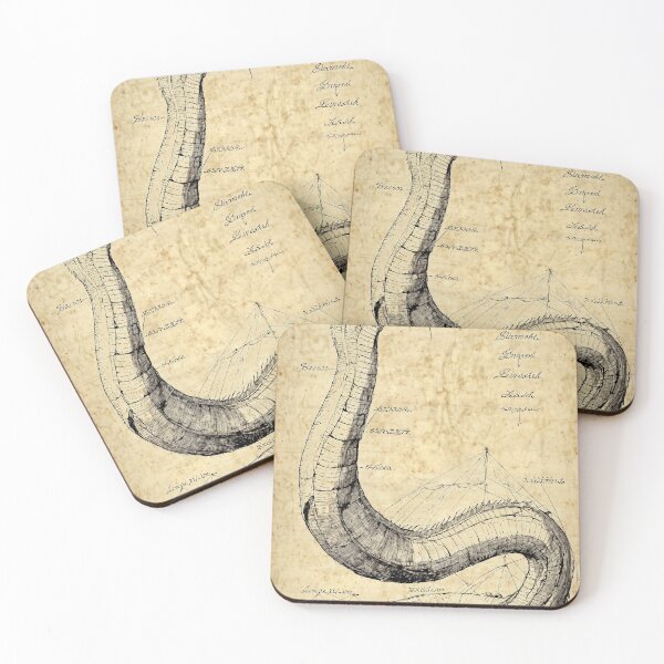 Item preview, Vintage Anatomical Sketch of a Sea Serpent designed and sold by The Dream Lab.