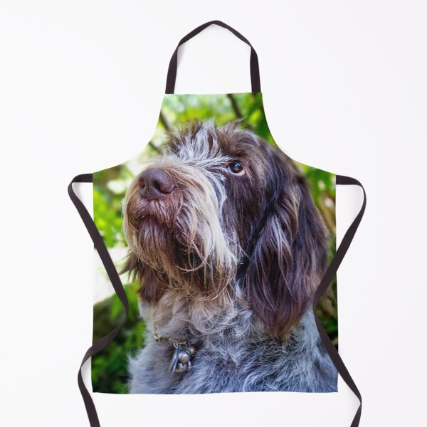 Item preview, Look into my eyes Spinone by heidiannemorris designed and sold by FOLK ART FUSION by heidiannemorris.