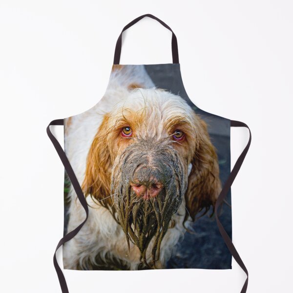 Item preview, Muddy beard Spinone by heidiannemorris © designed and sold by FOLK ART FUSION by heidiannemorris.
