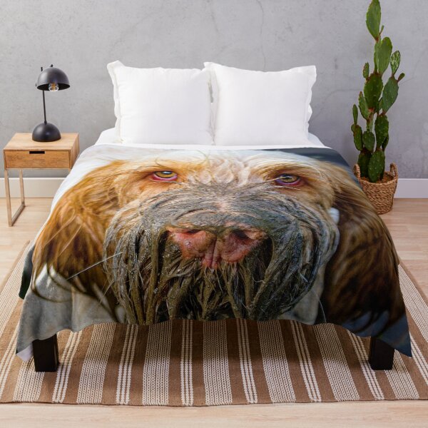 Item preview, Muddy beard Spinone by heidiannemorris © designed and sold by FOLK ART FUSION by heidiannemorris.