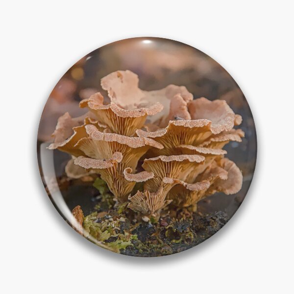 Item preview, Tiny Autumn Forest Mushrooms on Old Wood Stump designed and sold by ShotsbyDesiree.