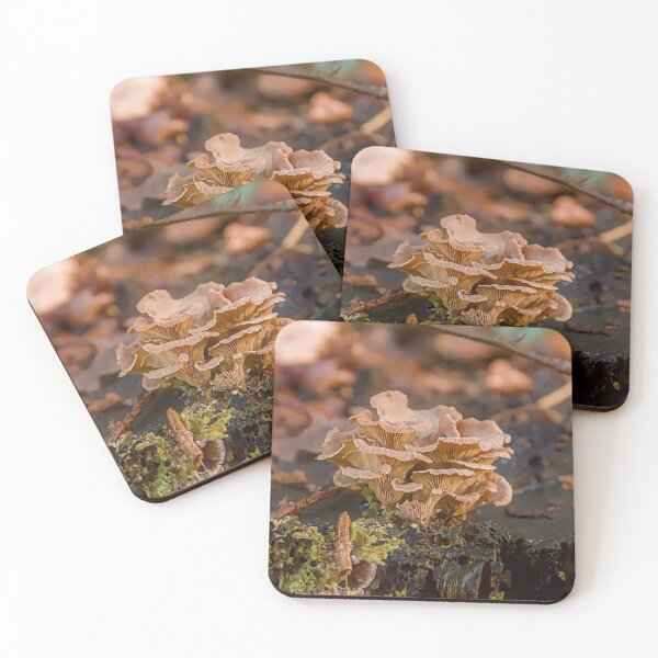 Item preview, Tiny Autumn Forest Mushrooms on Old Wood Stump designed and sold by ShotsbyDesiree.