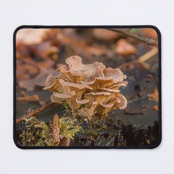 Item preview, Tiny Autumn Forest Mushrooms on Old Wood Stump designed and sold by ShotsbyDesiree.