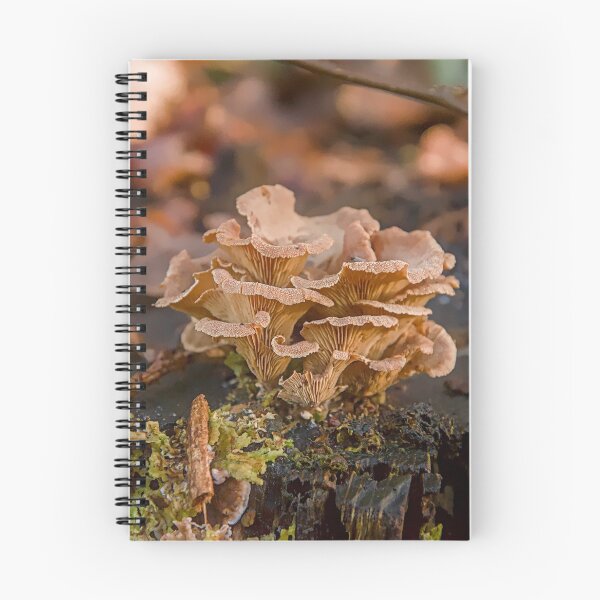 Item preview, Tiny Autumn Forest Mushrooms on Old Wood Stump designed and sold by ShotsbyDesiree.