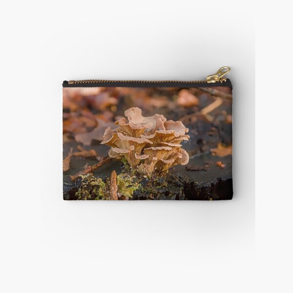 Item preview, Tiny Autumn Forest Mushrooms on Old Wood Stump designed and sold by ShotsbyDesiree.