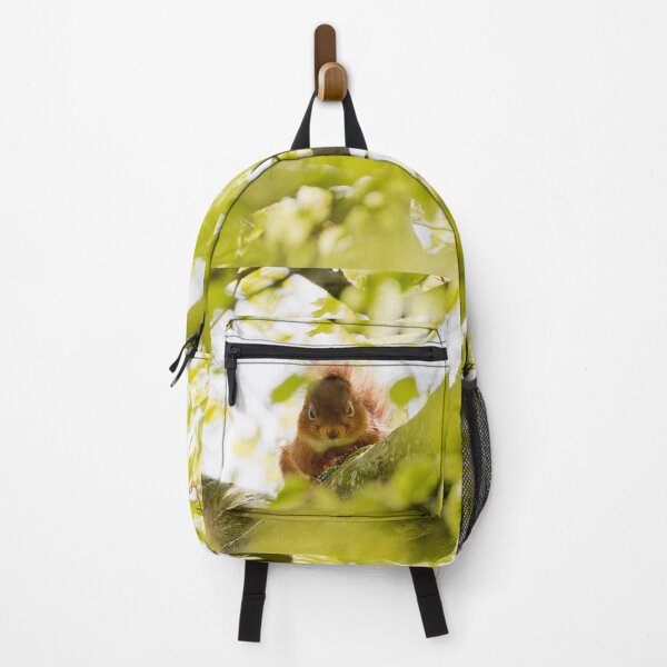 Item preview, Red squirrel sitting in a tree designed and sold by Stephen Jarman.