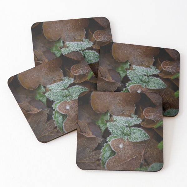 Item preview, Frozen White Frost on Green and Brown Leaves designed and sold by ShotsbyDesiree.