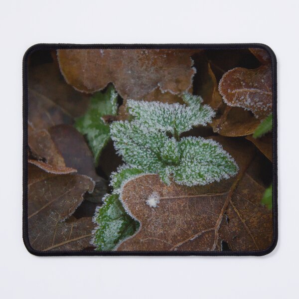 Item preview, Frozen White Frost on Green and Brown Leaves designed and sold by ShotsbyDesiree.