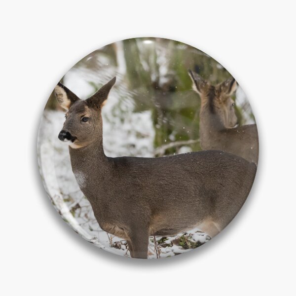 Item preview, Two deer standing designed and sold by Stephen Jarman.
