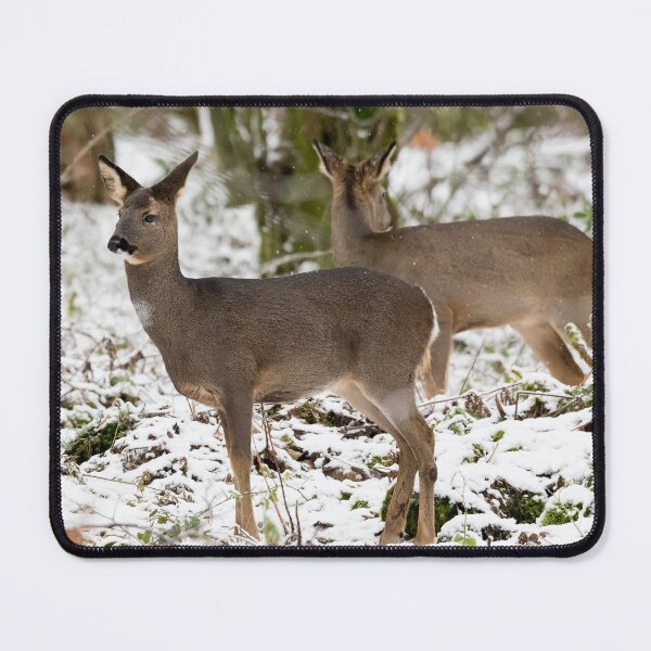 Item preview, Two deer standing designed and sold by Stephen Jarman.