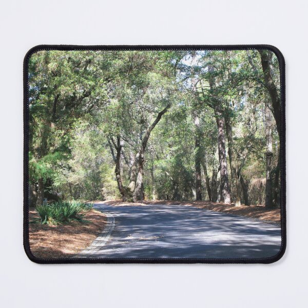 Item preview, Quiet Forest Road designed and sold by Cynthia48.