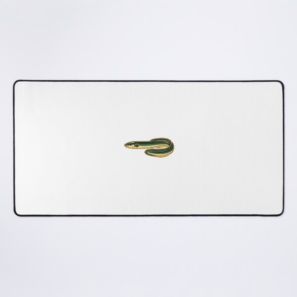 Item preview, American Eel designed and sold by springscritters.