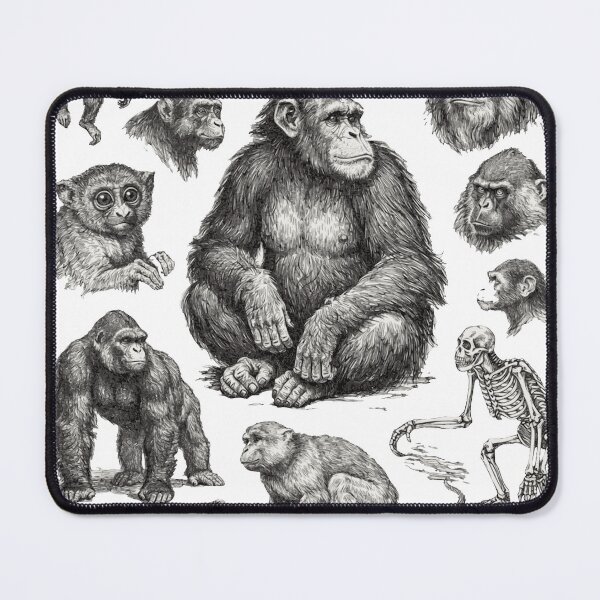 Item preview, Vintage Primate Evolution Monkeys Apes Biology designed and sold by JackCurtis1991.