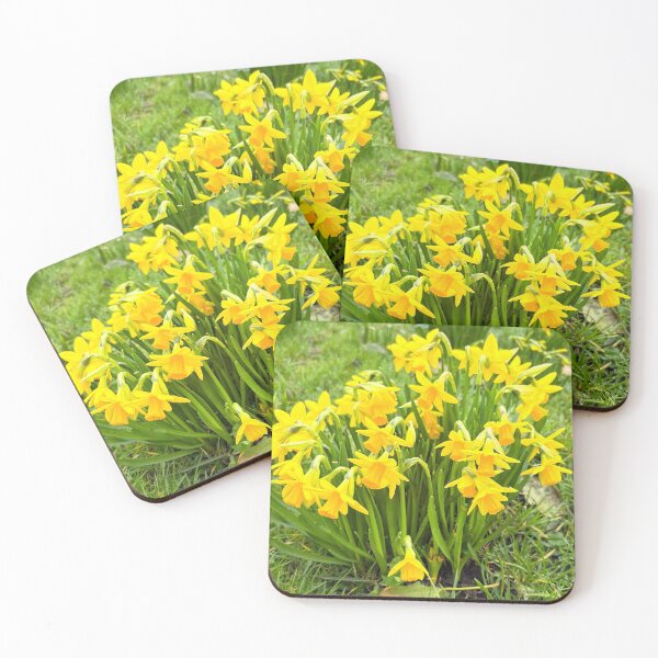 Item preview, Lovely Miniature Daffodils Growing Wild.  designed and sold by Violaman.